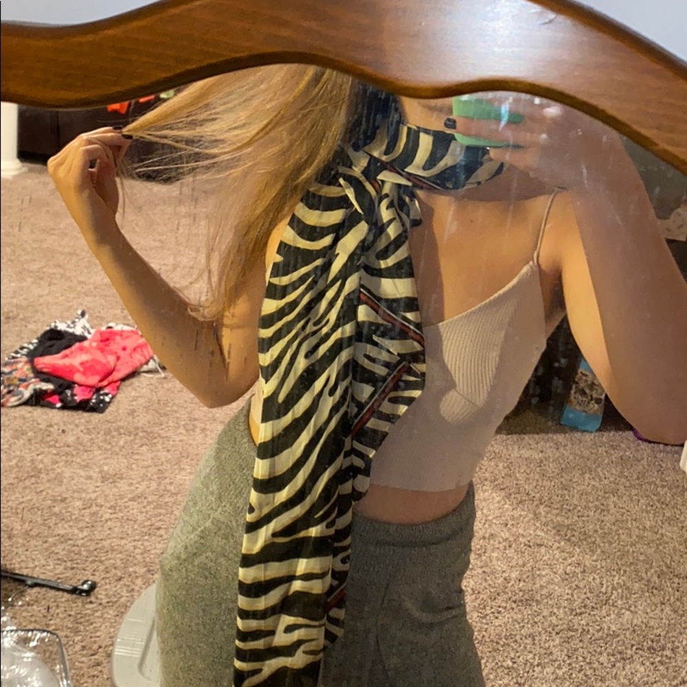 Zebra Striped Scarf 🦓 🧣
